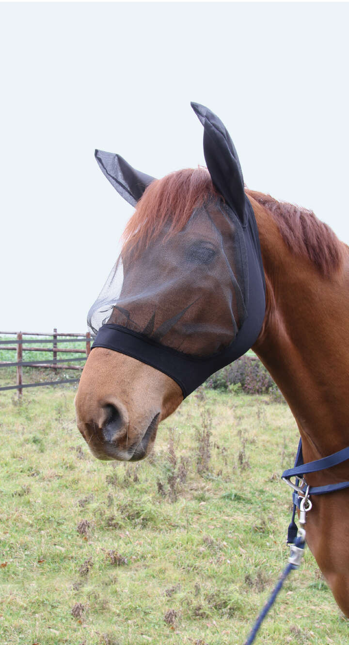 KANTRIE Fliegenmaske Skinny